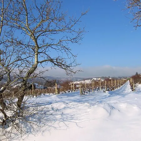 Pansiyon Green Silvaner
