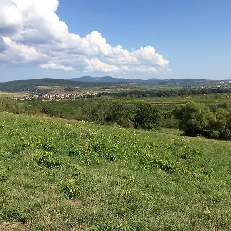 Green Silvaner Pezinok